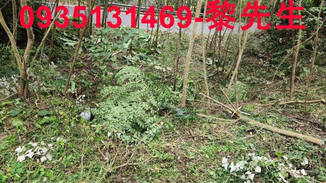 橫山農地-2