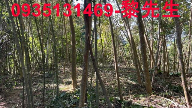 橫山農地-6