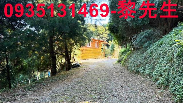新竹林地-12