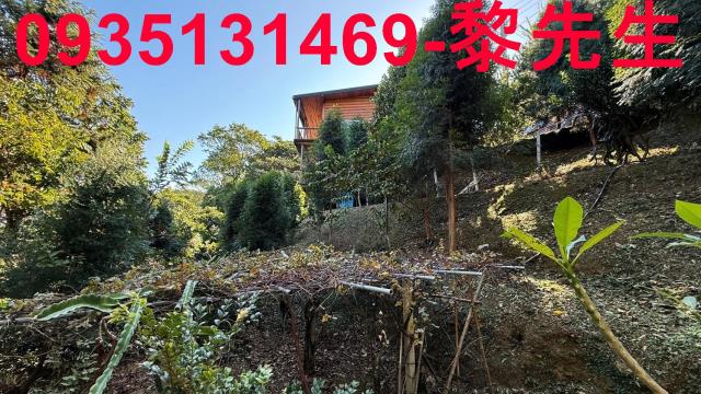 新竹林地-1