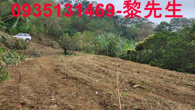 竹東農地-10
