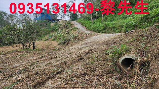 竹東農地-11