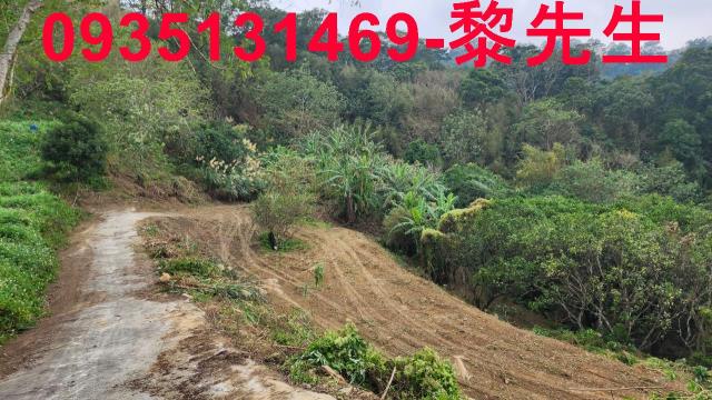 竹東農地-12