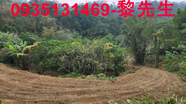 竹東農地-13