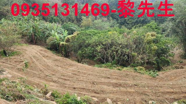 竹東農地-14