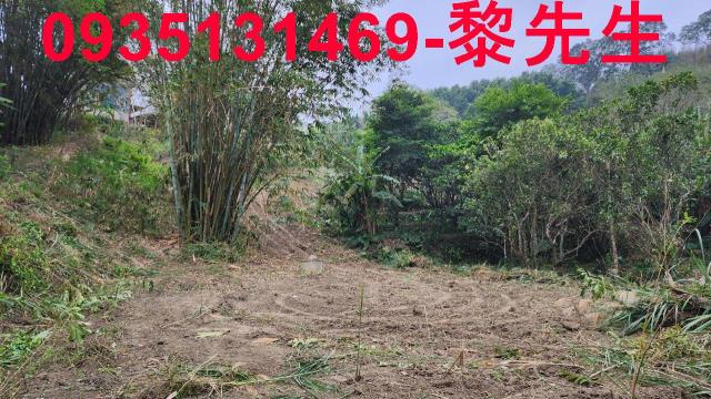 竹東農地-2