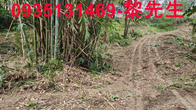 竹東農地-3