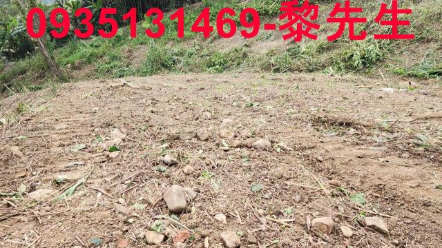 竹東農地-5