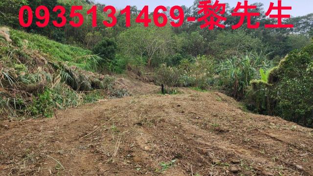 竹東農地-6