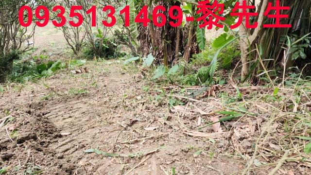 竹東農地-8