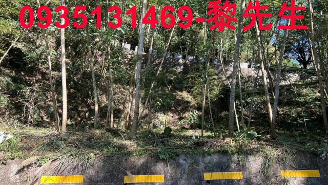 橫山農地-5