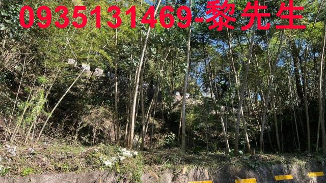 橫山農地-6