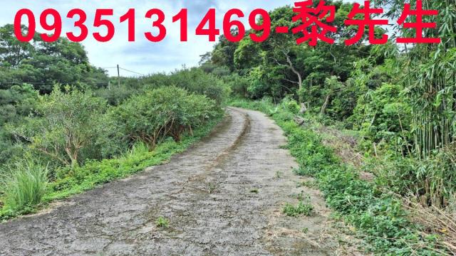苗栗三灣農地-4