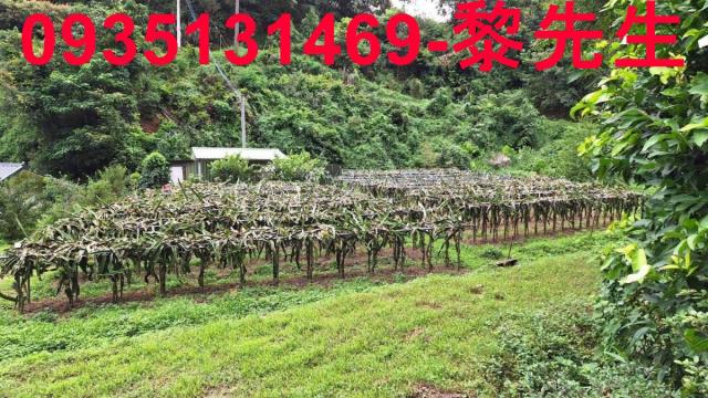 苗栗三灣農地-1