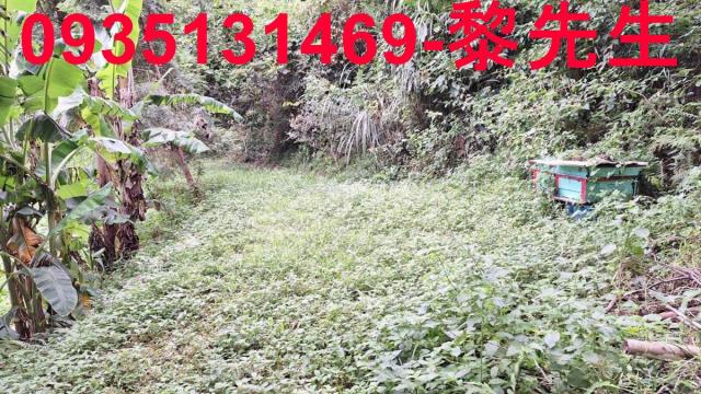 苗栗農地-11