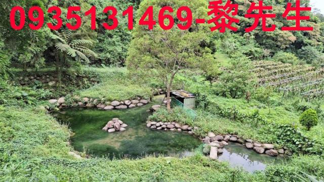 苗栗農地-0