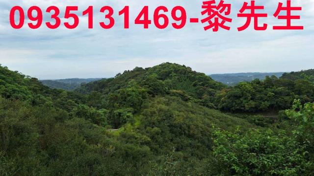 苗栗農地-1