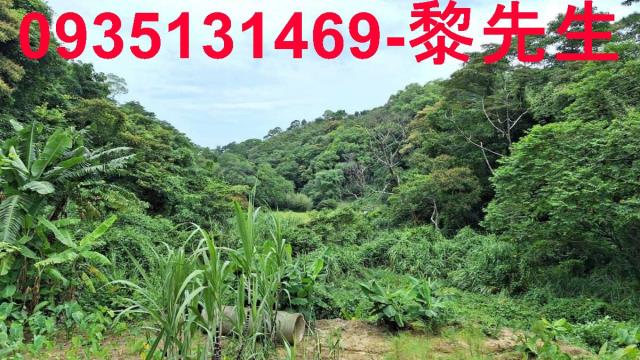 苗栗農地-5