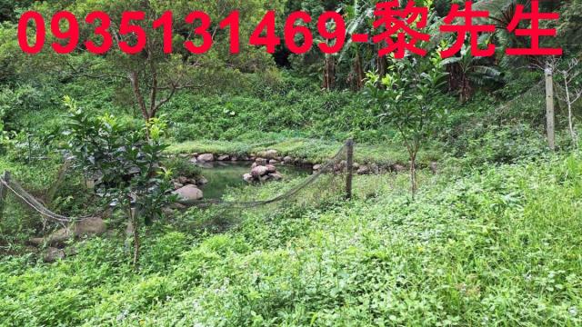 苗栗農地-8