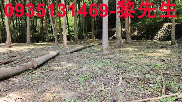 新竹農地-3