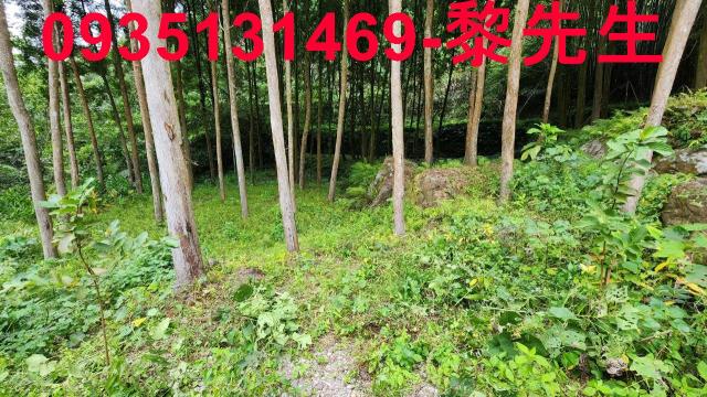 新竹農地-9
