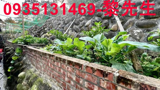 新竹農地-8