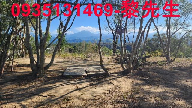 新竹峨眉農地-9