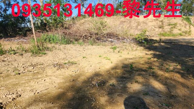 新竹峨眉農地-4