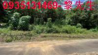新埔農地-1