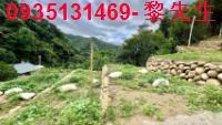 新竹芎林農地-4