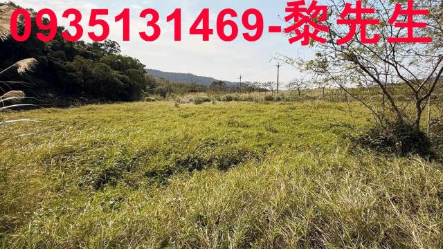 新竹新埔農地-10
