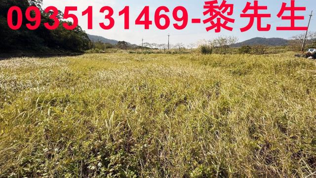新竹新埔農地-11