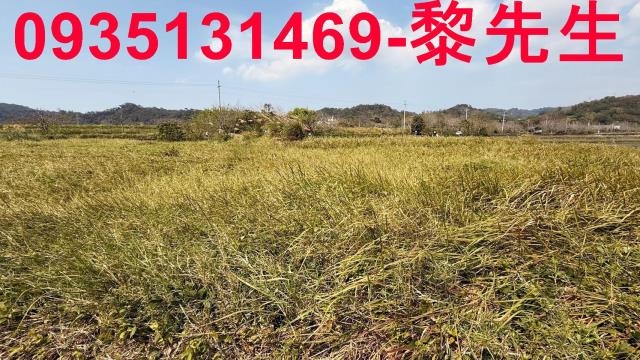 新竹新埔農地-12