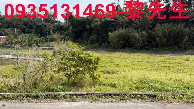 新竹新埔農地-2