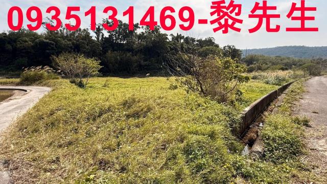 新竹新埔農地-4