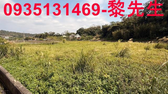 新竹新埔農地-8