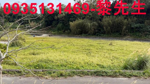 新竹新埔農地-0