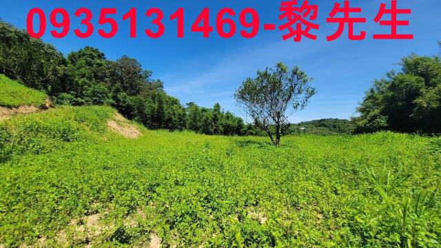 芎林農地-1