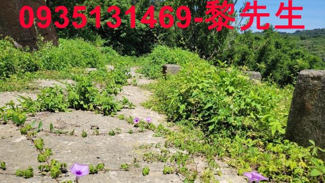 芎林農地-6