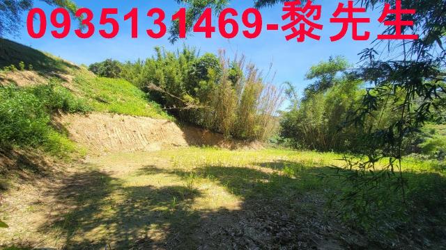 新竹農地-2