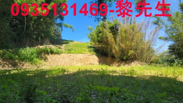 新竹農地-4