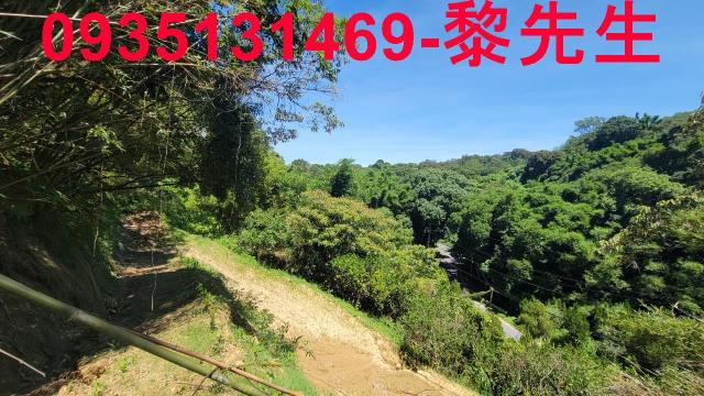 新竹農地-6