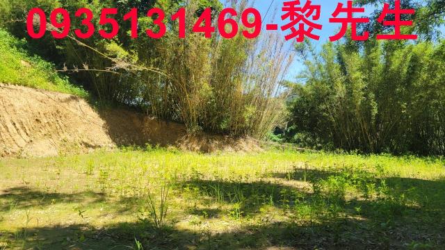 新竹農地-7