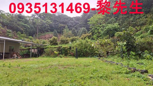 苗栗農地-11