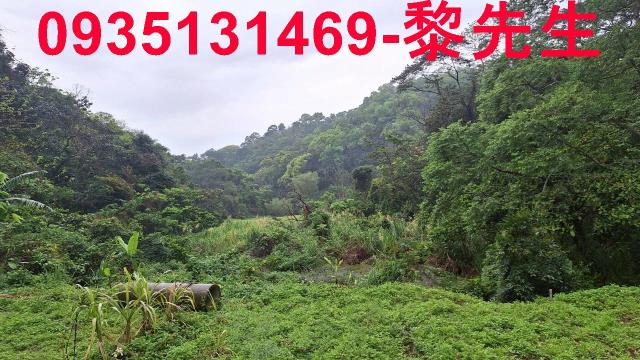 苗栗農地-12