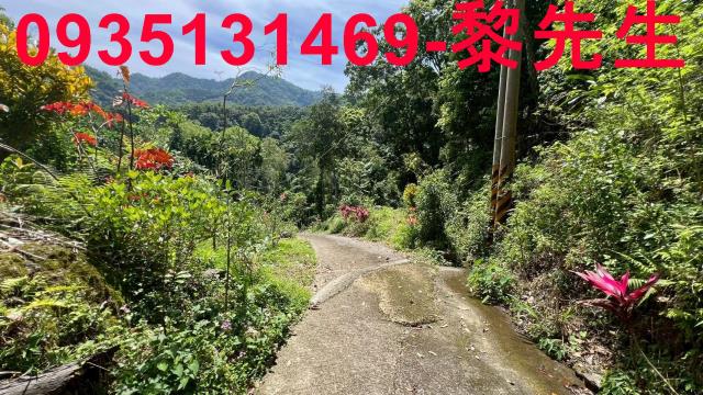 新竹橫山林地-12