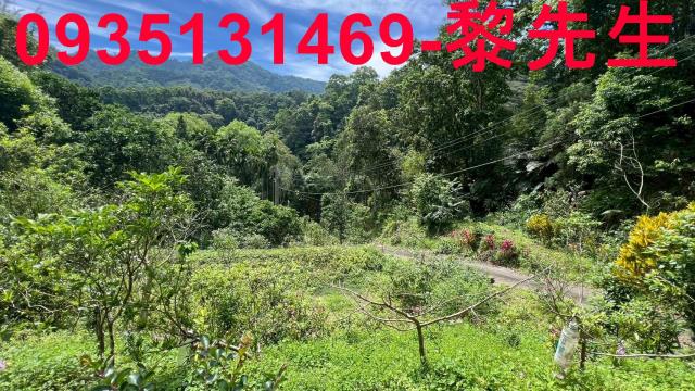 新竹橫山林地-4