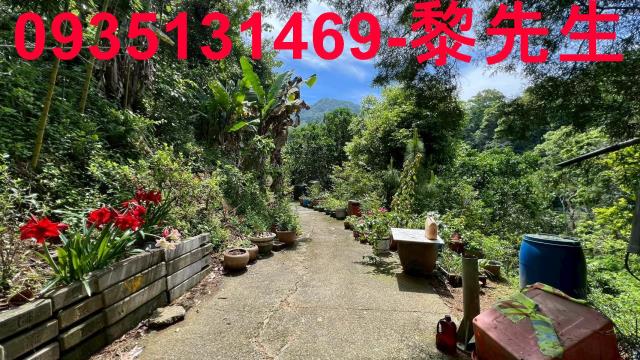 新竹橫山林地-7
