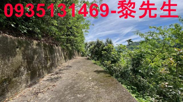 新竹橫山林地-8