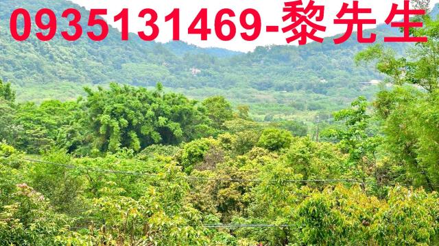 苗栗農地-1